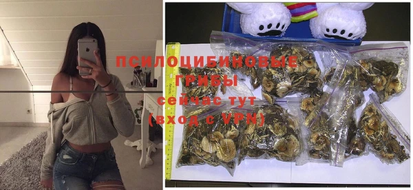 mix Новокубанск