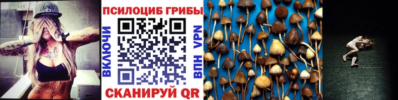 Псилоцибиновые грибы MAGIC MUSHROOMS  Иннополис 